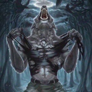 Meet your Posher, Raphael